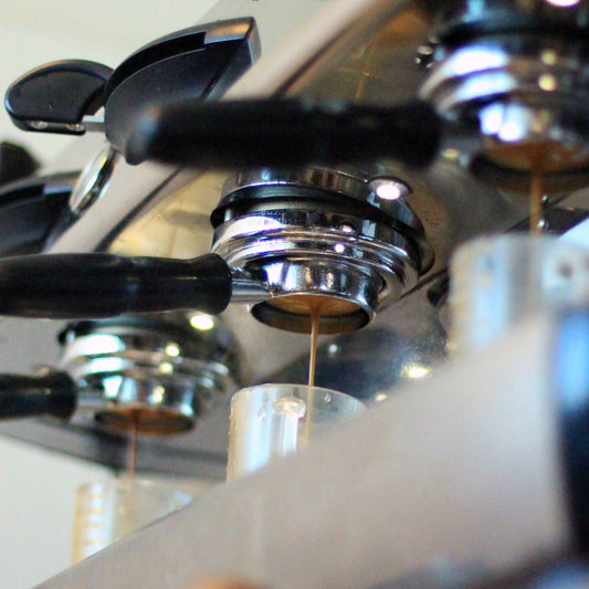 WS San Honore Espresso