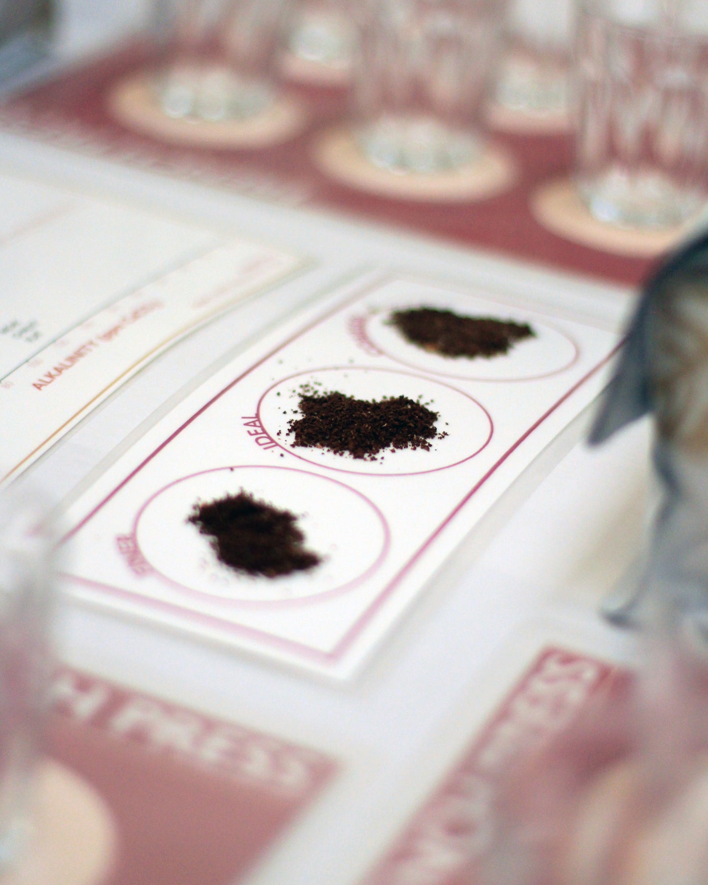 French Press Brew Class