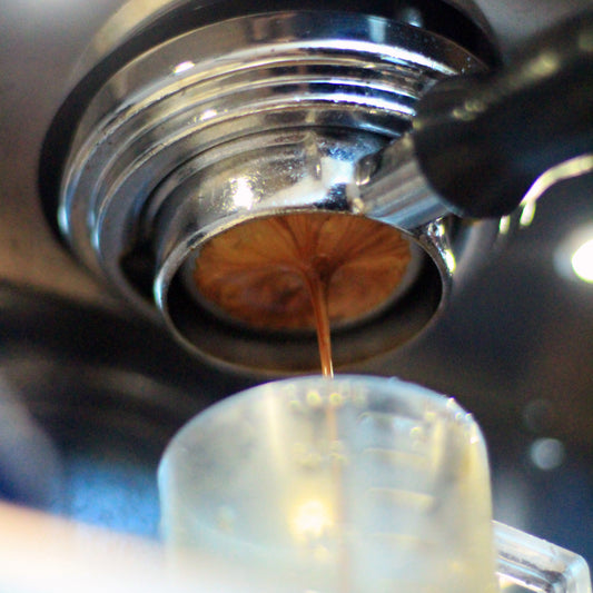 WS Twenties Espresso