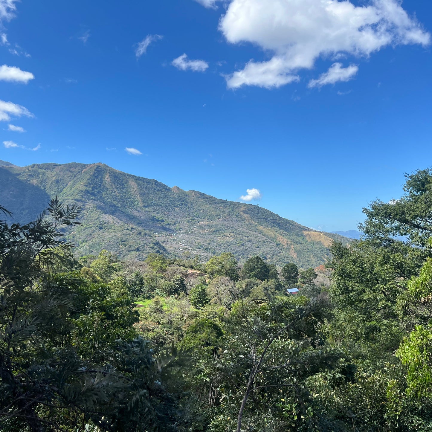La Pradera