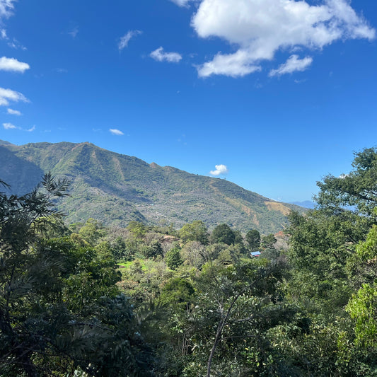 La Pradera